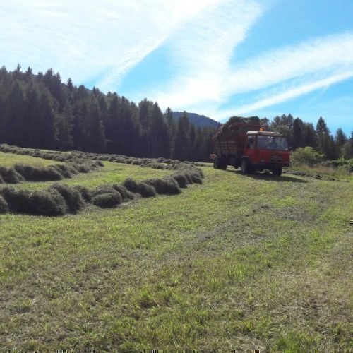 Agriturismo vero e proprio in Val di Funes