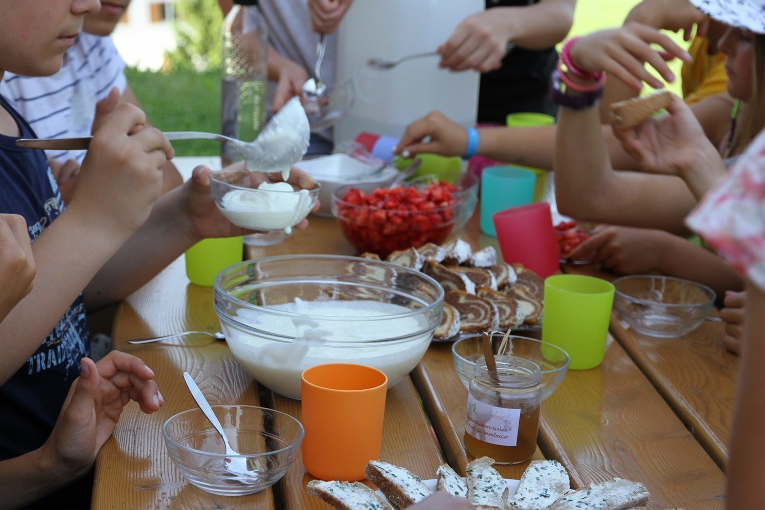 Imparare per tutta la vita: nella scuola del nostro agriturismo