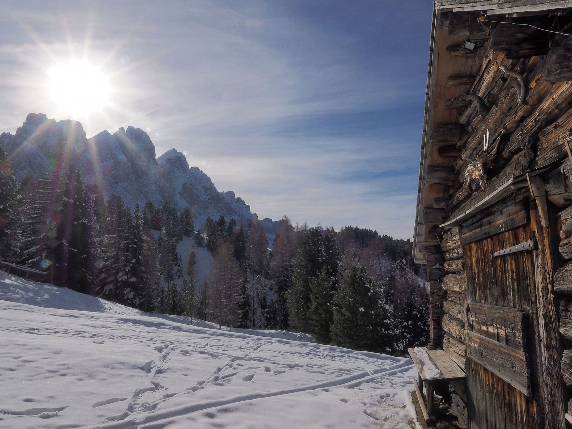 „Frühlingsgefühle“ am Proderhof „Frühlingsgefühle“ am Proderhof