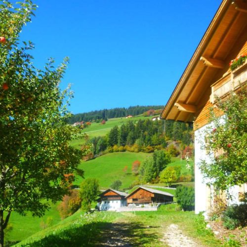 proderhof-villnoess-suedtirol (41)